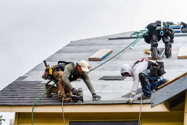 Professional Storm Damage Roof Repair technician working in Jacksonville, NC